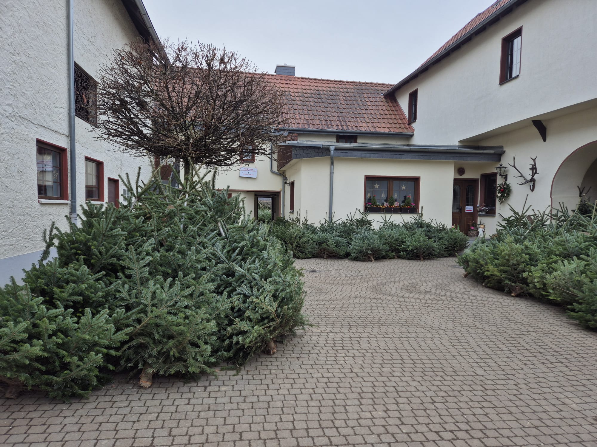 Blick in den Innenhof mit den alten Hofgebäuden